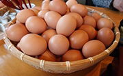 Basket of Eggs