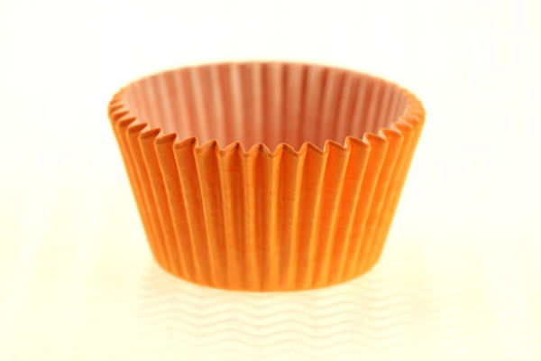 Orange Cupcake Case